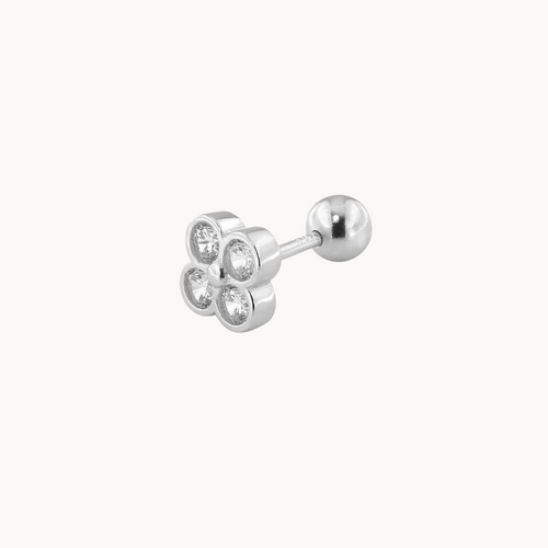 piercing fauna