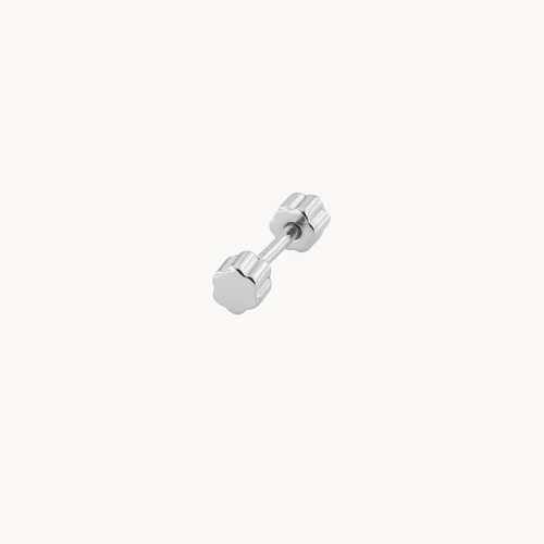 piercing mini fauna