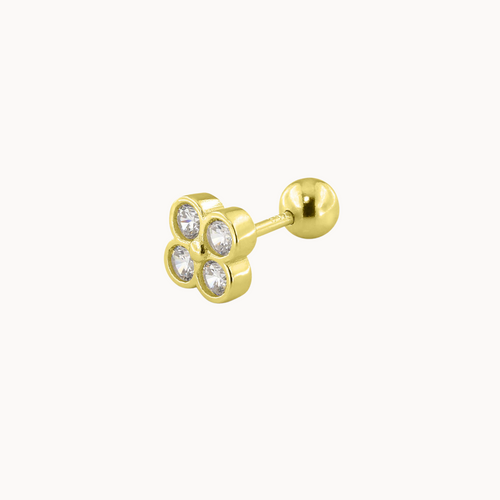 piercing fauna