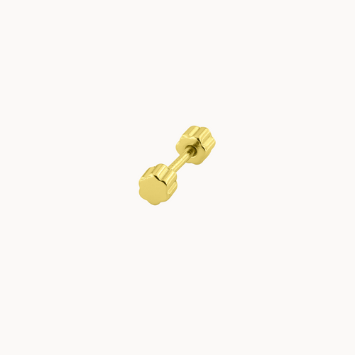 piercing mini fauna