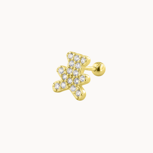 piercing teddy